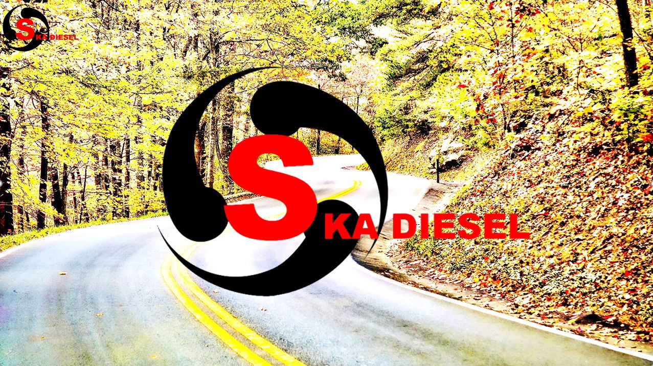 fondo-skadiesel.jpg